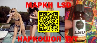 крисы Гатчина