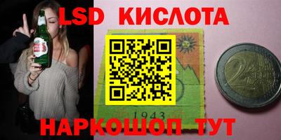 крисы Гатчина