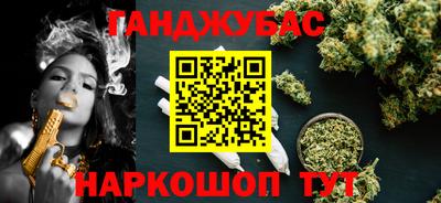 крисы Гатчина