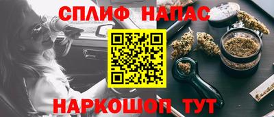 крисы Гатчина