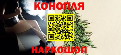 крисы Гатчина
