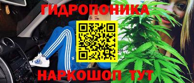 крисы Гатчина