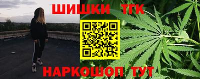 крисы Гатчина